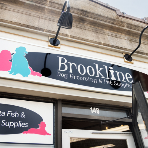Brookline store photos