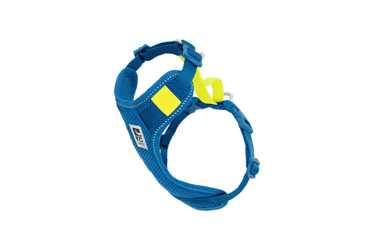 RC Pet Moto Control Harness - Brookline, MA - Brookline Dog Grooming