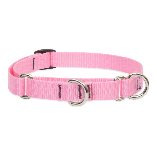 Lupine Pet Basic Solids Martingale Training Collar