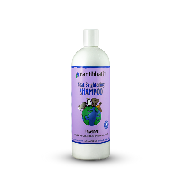 Earthbath Coat Brightening Shampoo