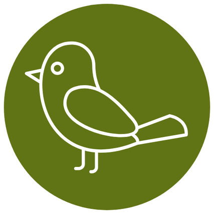 BirdsBird icon