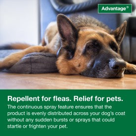 Advantage Dog Flea Treatment Spray