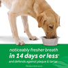 TropiClean Fresh Breath Advanced Whitening Dental Health Solution for Dogs