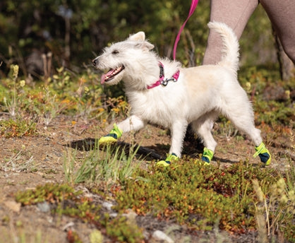 RC Pets Apex Boots
