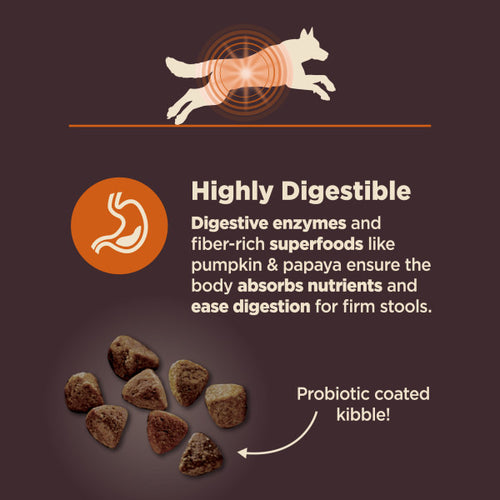 Wellness CORE Digestive Health Chicken & Brown Rice Dog Food