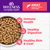 Wellness Complete Health Grained Salmon Meal Dry Cat Recipe