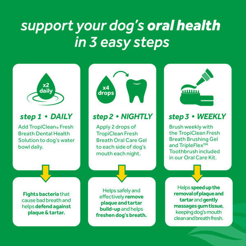 Oral gel for dogs teeth best sale