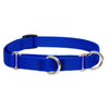 Lupine Pet Basic Solids Martingale Training Collar