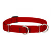 Lupine Pet Basic Solids Martingale Training Collar