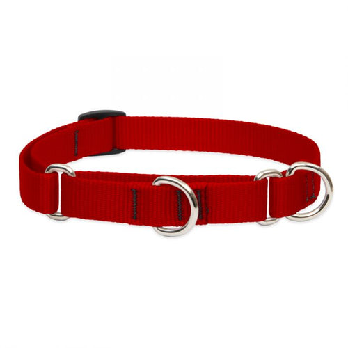 Lupine dog collars best sale