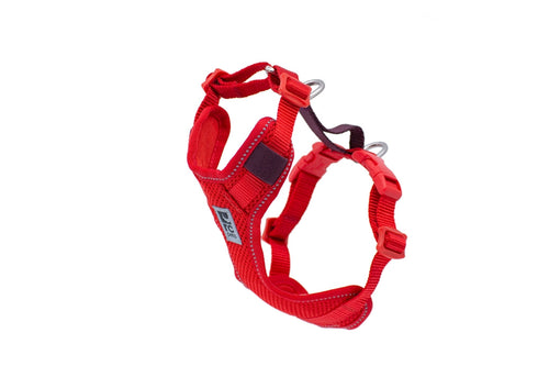 RC Pet Moto Control Harness