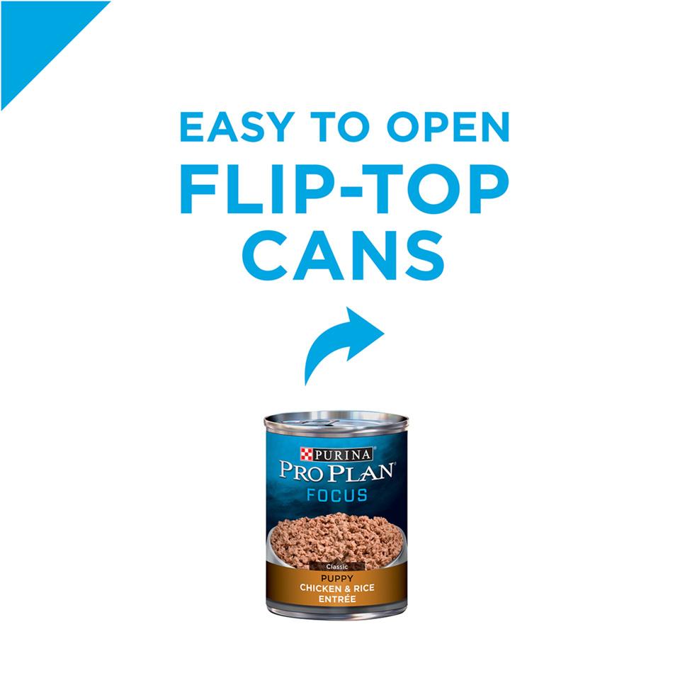 Pro plan focus canned dog food sale