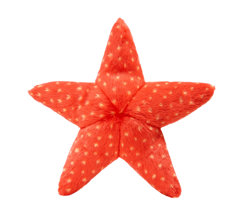 Fluff & Tuff Ziggy Starfish Toy