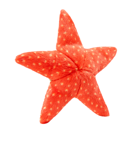 Fluff & Tuff Ziggy Starfish Toy