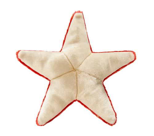 Fluff & Tuff Ziggy Starfish Toy