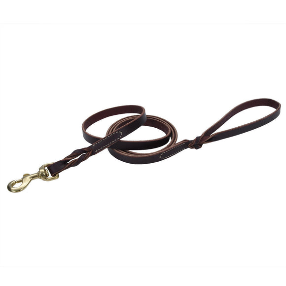 Coastal Pet Products Circle T Latigo Leather Twist Dog Leash with Solid Brass Hardware